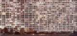 Andreas Gursky (1 de 3)