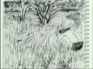 Plástica 2, El arte no es como lo pintan